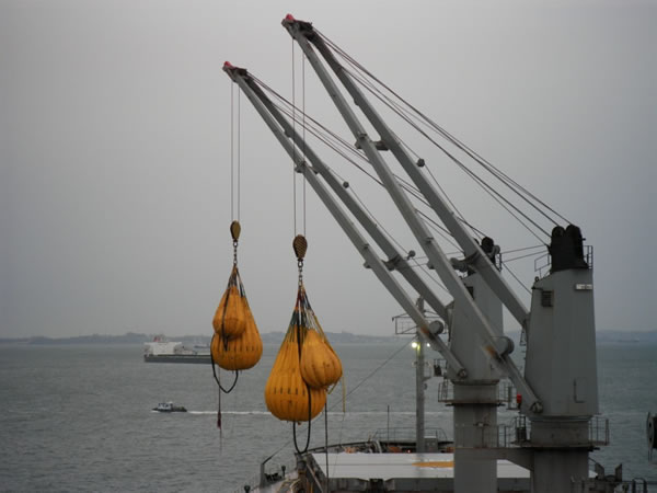 slewing ring application in ship crane Application d'anneau d'allocation dans la grue des navires